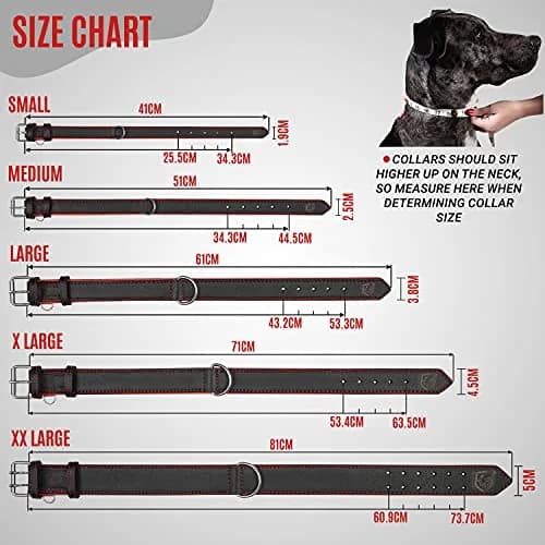 Riparo Adjustable Leather Dog Collar - Heavy Duty Wide Collar for Large Dogs (XL: 1.75" Wide for 21”-25” Neck) thumbnail 2