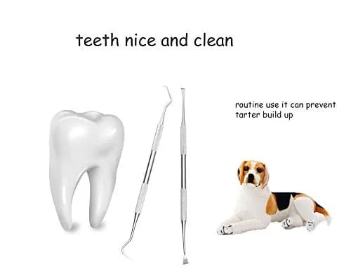 wzhe Dog Teeth Cleaning Tools Tarter Remover Canine Dental Scraper Scaler Set | 2-Piece Stainless Steel thumbnail 5