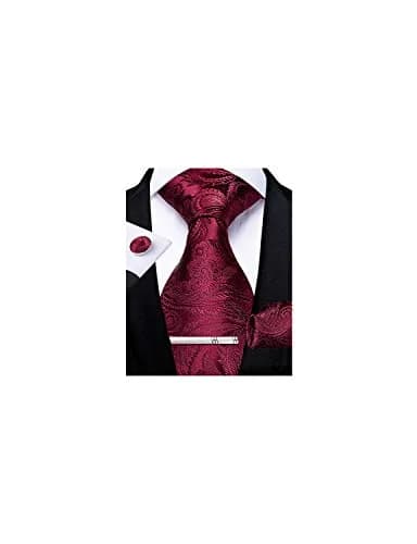 DiBanGu Paisley Silk Necktie and Pocket Square Set for Men | Burgundy, 150cm (59") x 8.1cm (3.15") thumbnail 1