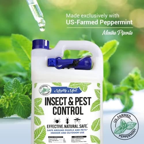Mighty Mint Peppermint Oil Insect Repellent Spray 3.78 L (128 Fl Oz) | Natural Indoor & Outdoor Bug Control thumbnail 5