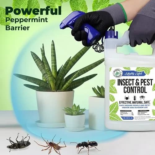 Mighty Mint Peppermint Oil Insect Repellent Spray 3.78 L (128 Fl Oz) | Natural Indoor & Outdoor Bug Control thumbnail 3