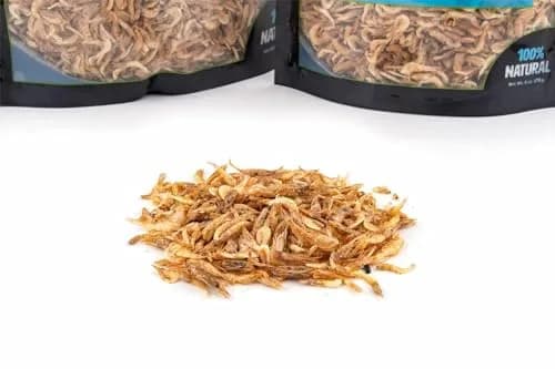 Fluker's Grub Bag Turtle Treats High Protein Freeze Dried River Shrimp 170g (6 oz) | Natural Prey for Aquatic Turtles thumbnail 3