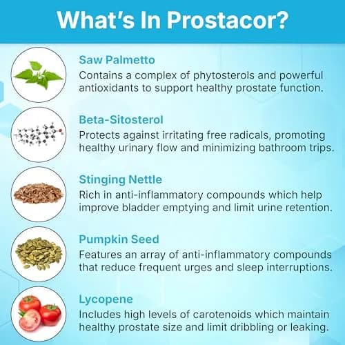 Prostacor Natural Prostate Support Supplement for Men, Vegan, Gluten-Free 30 Count (Pack of 1) | Supports Healthy Urine Flow, Fewer Urges, Bladder Control, and Uninterrupted, Restful Sleep Through the Night thumbnail 5