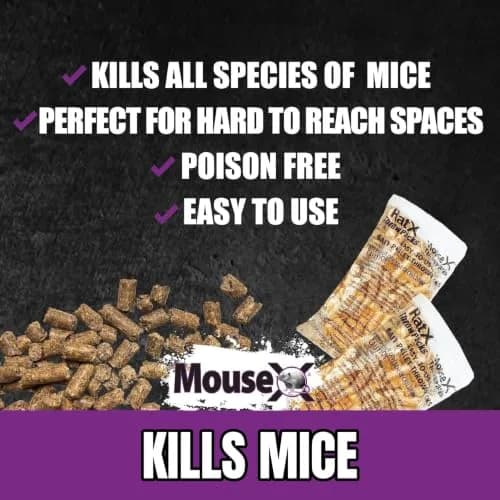MouseX Rodent Control Bait Pellet Throw Packs for Rats & Mice – Poison Free, Pet Safe | Indoor & Outdoor Use Pellets |6 Throw Packs thumbnail 4