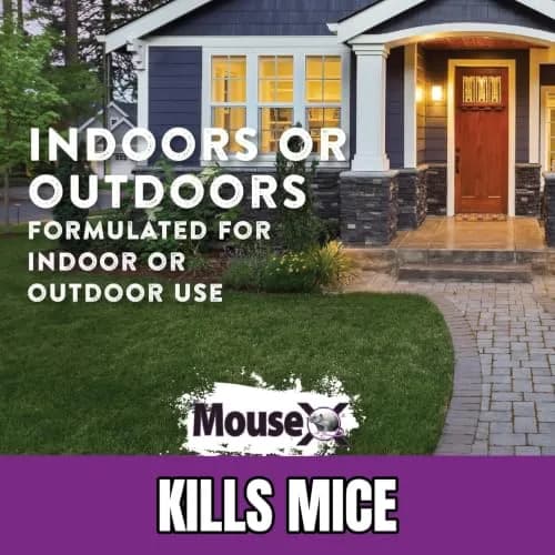 MouseX Rodent Control Bait Pellet Throw Packs for Rats & Mice – Poison Free, Pet Safe | Indoor & Outdoor Use Pellets |6 Throw Packs thumbnail 6