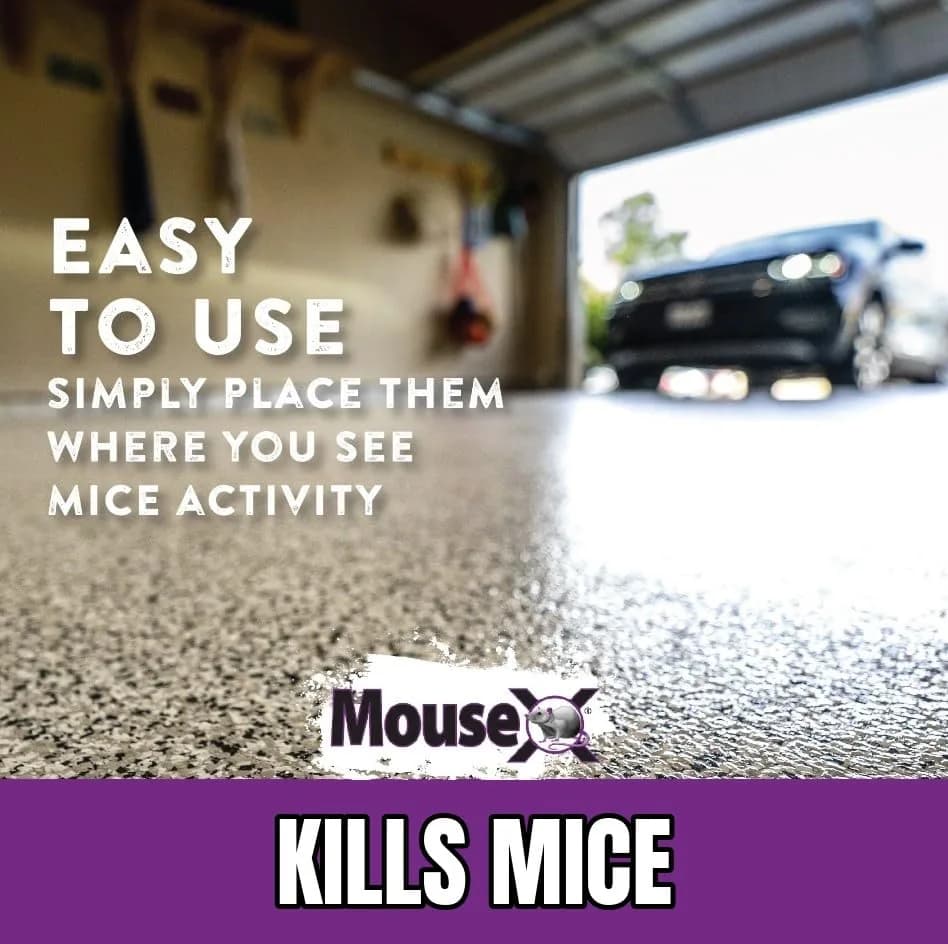 MouseX Rodent Control Bait Pellet Throw Packs for Rats & Mice – Poison Free, Pet Safe | Indoor & Outdoor Use Pellets |6 Throw Packs thumbnail 8