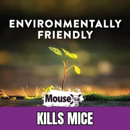 MouseX Rodent Control Bait Pellet Throw Packs for Rats & Mice – Poison Free, Pet Safe | Indoor & Outdoor Use Pellets |6 Throw Packs thumbnail 9