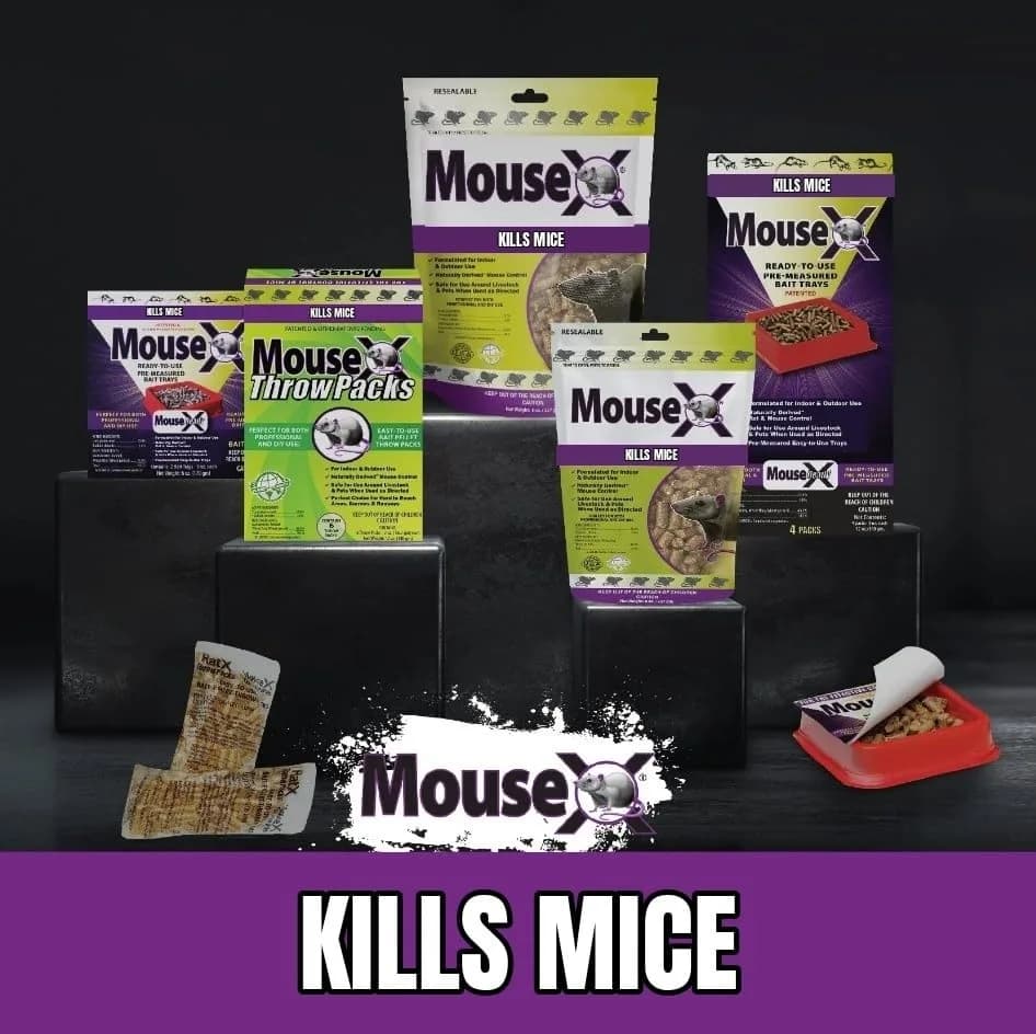 MouseX Rodent Control Bait Pellet Throw Packs for Rats & Mice – Poison Free, Pet Safe | Indoor & Outdoor Use Pellets |6 Throw Packs thumbnail 11
