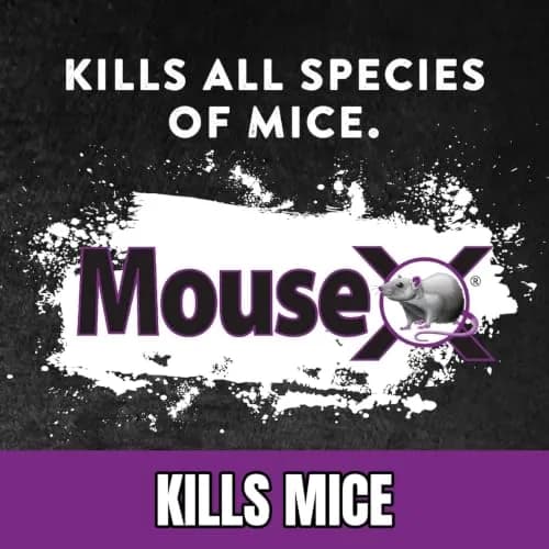 MouseX Rodent Control Bait Pellet Throw Packs for Rats & Mice – Poison Free, Pet Safe | Indoor & Outdoor Use Pellets |6 Throw Packs thumbnail 2