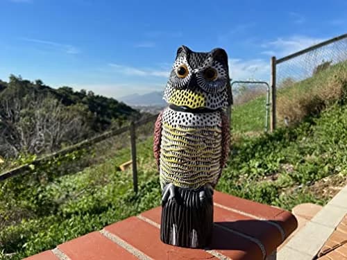 GiftExpress 16" Large Owl Decoy with Rotating Head | Realistic Garden Bird & Squirrel Deterrent for Outdoor Yard & Garden Protection thumbnail 5
