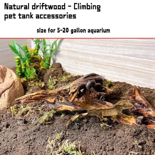 Hamiledyi Aquarium Driftwood 3.5-7in | Natural Betta Fish Tank Decor Accessories thumbnail 4