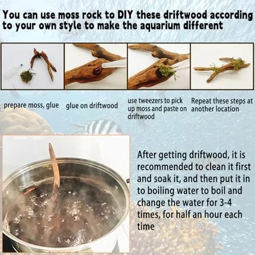 Hamiledyi Aquarium Driftwood 3.5-7in | Natural Betta Fish Tank Decor Accessories thumbnail 5