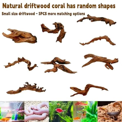 Hamiledyi Aquarium Driftwood 3.5-7in | Natural Betta Fish Tank Decor Accessories thumbnail 6