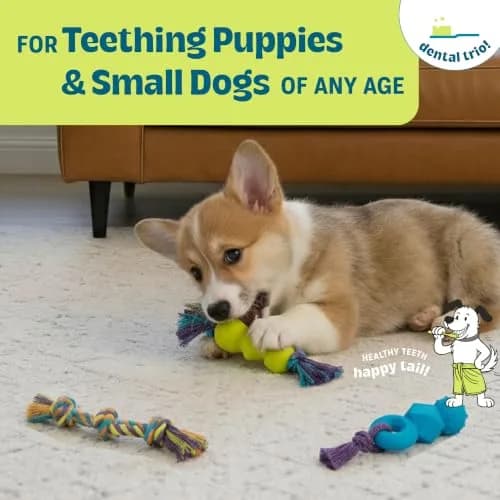 Pupstages Mini Dentachew Dental Dog Chew Toys, 5-8" | Supports Healthy Gums & Teething (110 characters) thumbnail 2