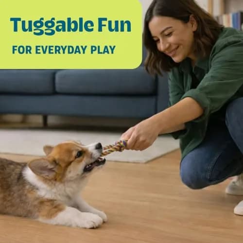Pupstages Mini Dentachew Dental Dog Chew Toys, 5-8" | Supports Healthy Gums & Teething (110 characters) thumbnail 4