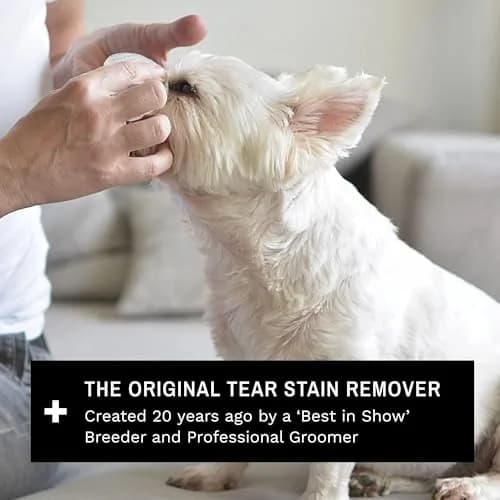 Eye Envy Tear Stain Wipes for Dogs 60 Wipes | Gently Clean & Remove Stains with Natural Formula thumbnail 7