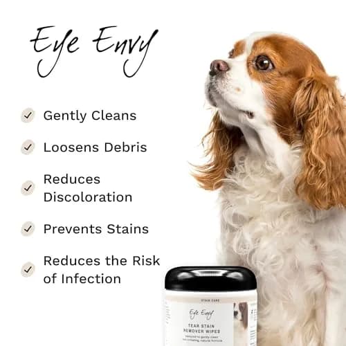 Eye Envy Tear Stain Wipes for Dogs 60 Wipes | Gently Clean & Remove Stains with Natural Formula thumbnail 2