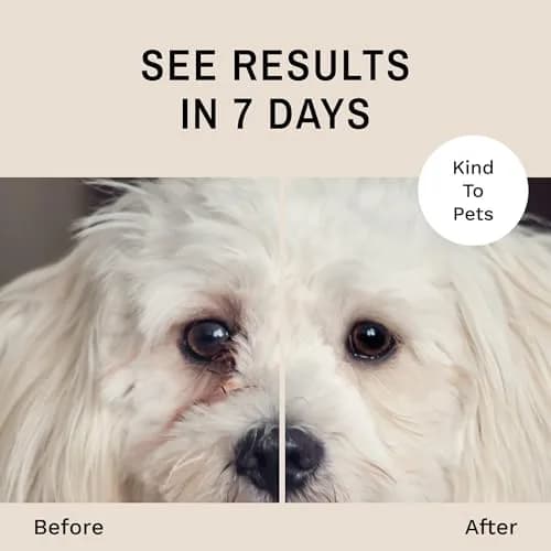 Eye Envy Tear Stain Wipes for Dogs 60 Wipes | Gently Clean & Remove Stains with Natural Formula thumbnail 3