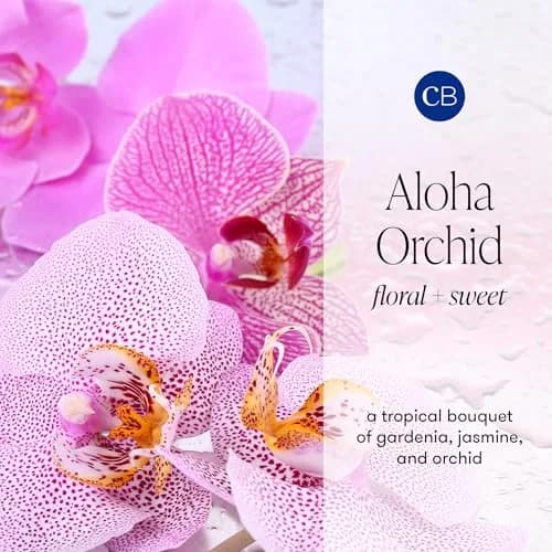 Capri Blue Aloha Orchid Diffuser Oil Refill 15ml (0.5 fl oz) | Long-Lasting Floral Home Fragrance thumbnail 3