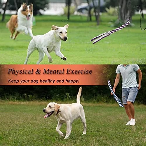 SYOOY Interactive Dog Flirt Pole with 3 Fleece Rope Tails | 10"-35" Retractable Wand thumbnail 7