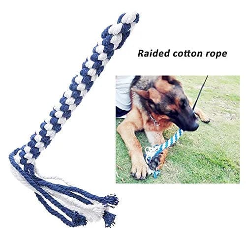 SYOOY Interactive Dog Flirt Pole with 3 Rope Tails | 25cm-89cm (10"-35") Extendable Wand thumbnail 5