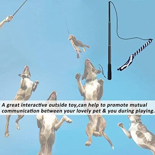 SYOOY Interactive Dog Flirt Pole with 3 Rope Tails | 25cm-89cm (10"-35") Extendable Wand thumbnail 6