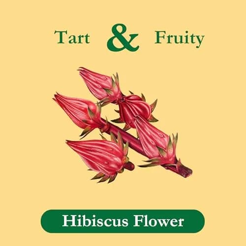 Tadin Hibiscus Tea, Herbal Tea, Caffeine Free, 24 Tea Bags | Floral & Fruity, Supports Wellness thumbnail 2