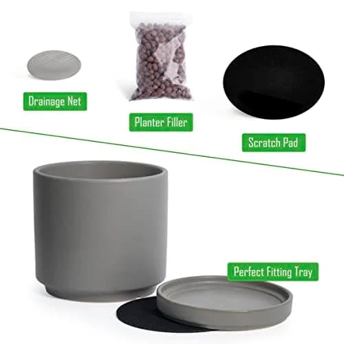 D'vine Dev 6 Inch Ceramic Planter Pot, Grey | Modern Indoor Cylinder with Drainage Hole thumbnail 4