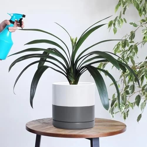 D'vine Dev 8.2 Inch Ceramic Planter Pot, White/Grey | Modern Cylinder with Drainage Hole thumbnail 5