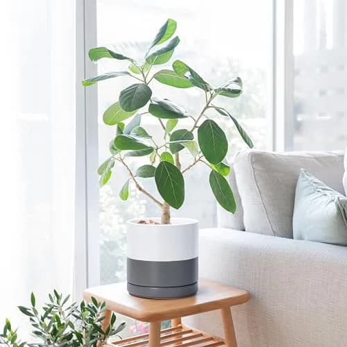 D'vine Dev 8.2 Inch Ceramic Planter Pot, White/Grey | Modern Cylinder with Drainage Hole thumbnail 6