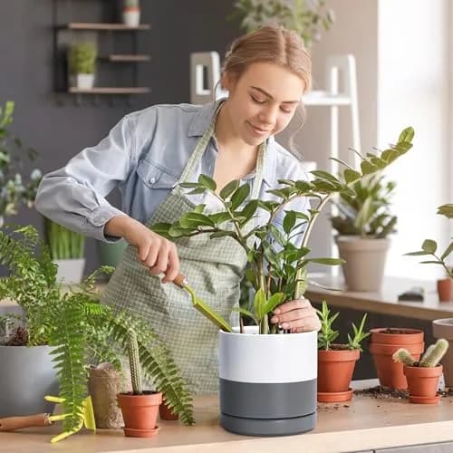 D'vine Dev 8.2 Inch Ceramic Planter Pot, White/Grey | Modern Cylinder with Drainage Hole thumbnail 7