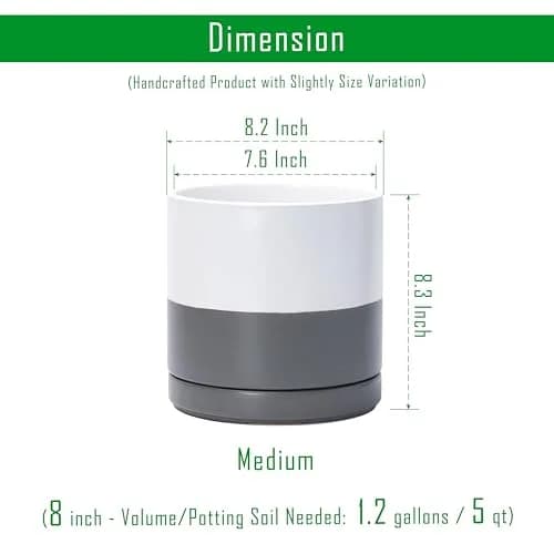 D'vine Dev 8.2 Inch Ceramic Planter Pot, White/Grey | Modern Cylinder with Drainage Hole thumbnail 3
