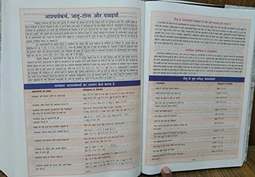 The Study Bible in Hindi Old and New Testament Large Print Edition | Updated 2018-2019 Version thumbnail 4