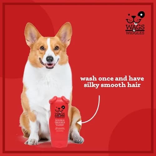 Wags & Wiggles 2-in-1 Dog Shampoo & Conditioner Fruity Watermelon 473ml (16 Fl Oz) | Gentle pH-Balanced Formula for All Dogs thumbnail 3