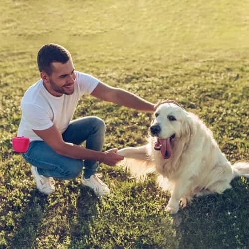 AUDWUD Silicone Dog Treat Pouch with Clicker & Magnetic Closure | Portable Training Container for Dogs thumbnail 6