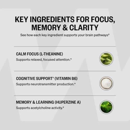 ONNIT Alpha Brain Nootropic Brain Supplement for Focus & Memory, 90 Count | Caffeine-Free Brain Booster for Men & Women thumbnail 6