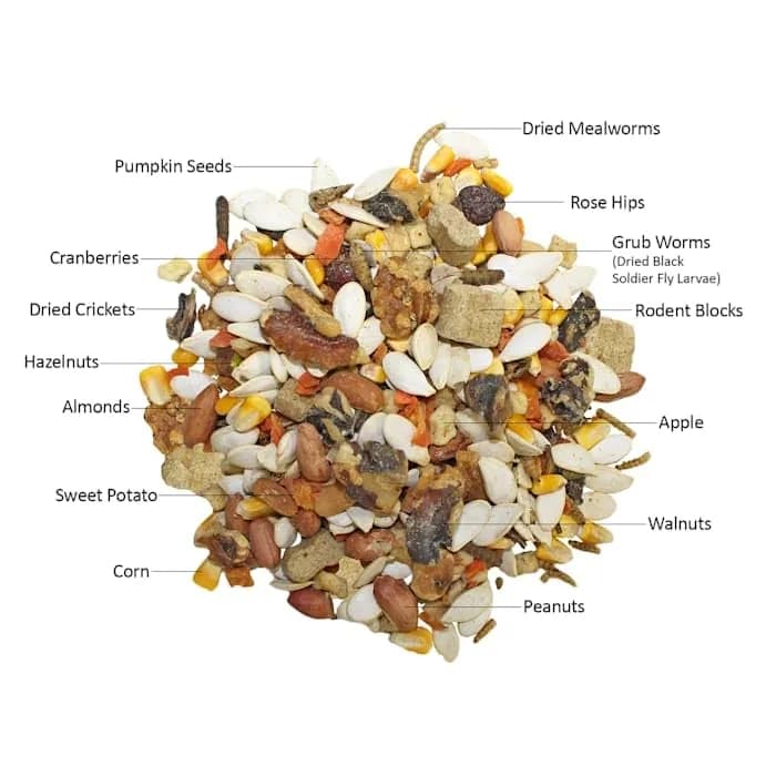 Exotic Nutrition Squirrel Complete Pet Food 1.75 lb (794 g) | Complete Natural Diet for Squirrels & Chipmunks thumbnail 8