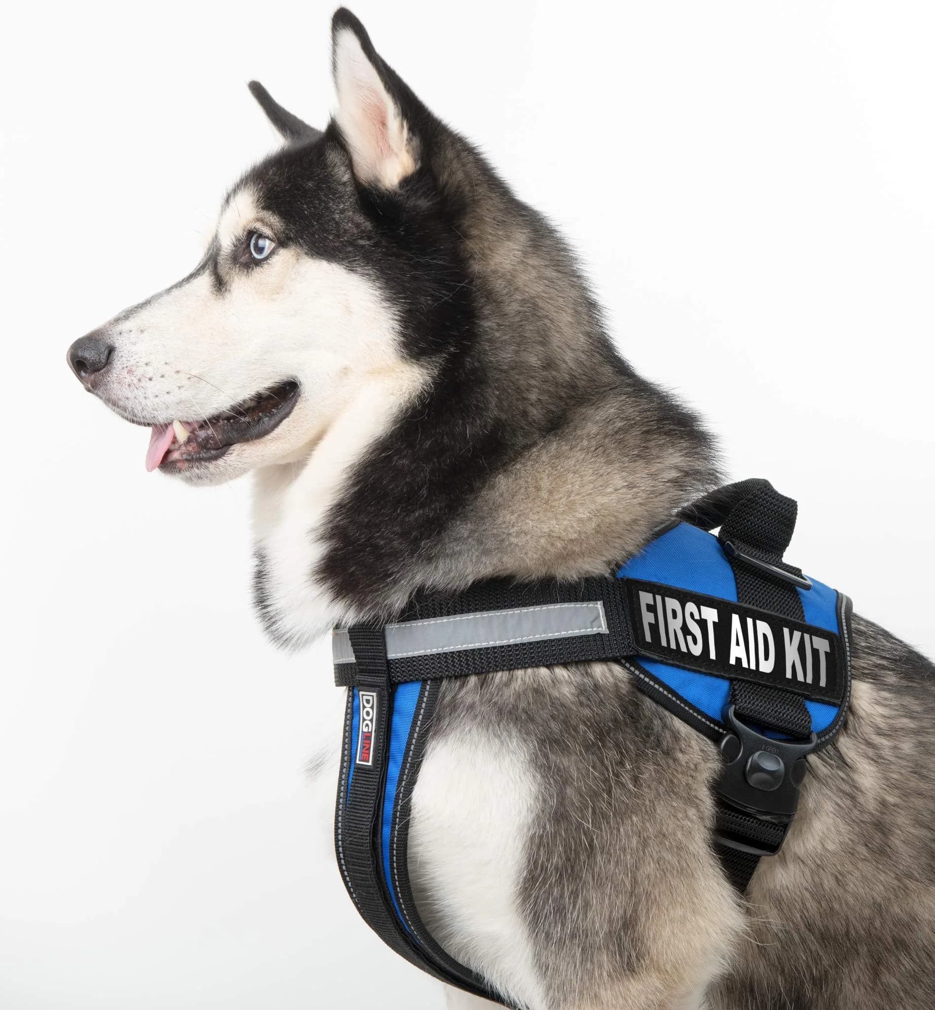 Dogline First Aid Kit Vest Patches 1" x 2.75" (2-Pack) | Reflective & Weather-Resistant ID for Working Dogs thumbnail 7