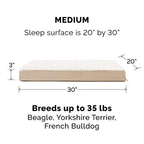 Furhaven Replacement Dog Bed Cover Ultra Plush Faux Fur & Suede Mattress, Machine Washable - Cream, Medium | Fits 30" x 20" x 3" foam mattress thumbnail 3