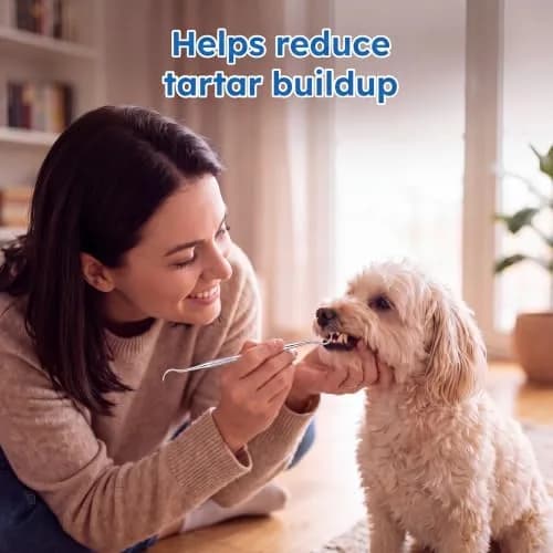 Hotop Stainless Steel Dog Tooth Scaler & Scraper 3 Pcs | Tartar & Plaque Removal Tool for Dogs thumbnail 6