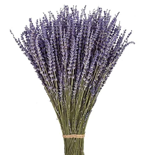 June Fox Dried Lavender Flowers 270-300 Stems | Natural Home Decoration & Fragrance (120 chars) thumbnail 1