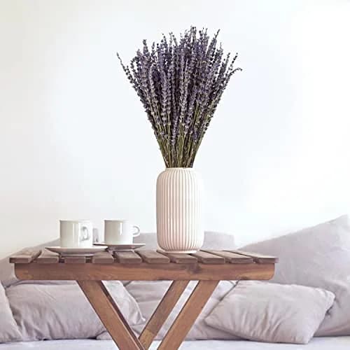 June Fox Dried Lavender Flowers 270-300 Stems | Natural Home Decoration & Fragrance (120 chars) thumbnail 6