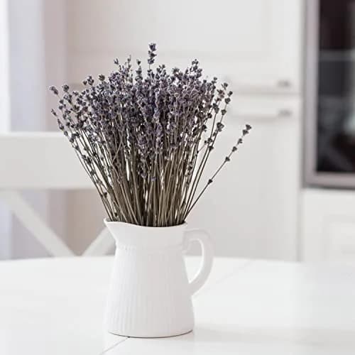 June Fox Dried Lavender Flowers 270-300 Stems | Natural Home Decoration & Fragrance (120 chars) thumbnail 7