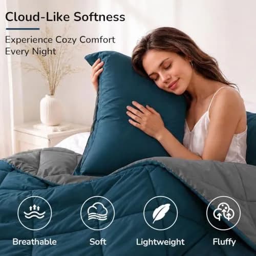 downluxe Twin Comforter Set Soft Reversible 2 Pieces | All-Season Cozy Bedding thumbnail 3