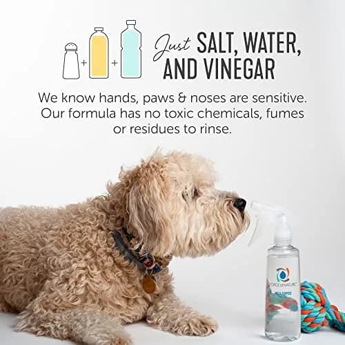 Force of Nature Cleaner & Disinfectant Appliance & 50 Refills | EPA Registered, Hypochlorous Acid, All-Purpose thumbnail 3