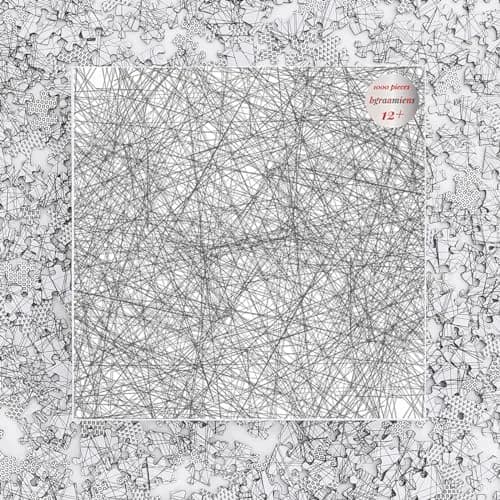 Bgraamiens Puzzle-The Lines 1000 Pieces | Challenging Black & White Art Puzzle for Adults & Kids thumbnail 5