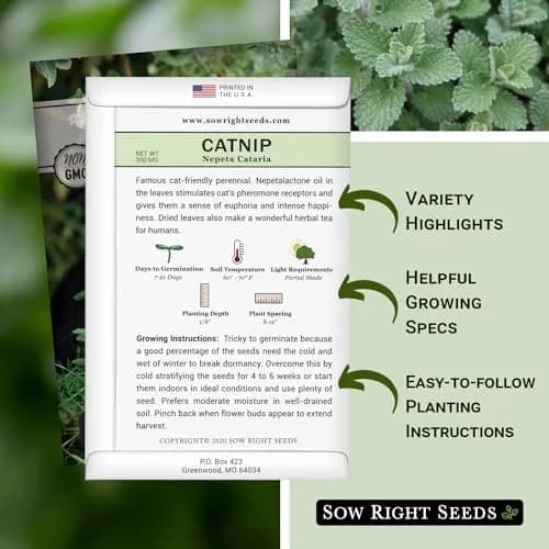 Sow Right Seeds Catnip Seed for Planting Outdoor Perennial Cat Nip | Grow Your Own Catnip Indoors or Outdoors thumbnail 2