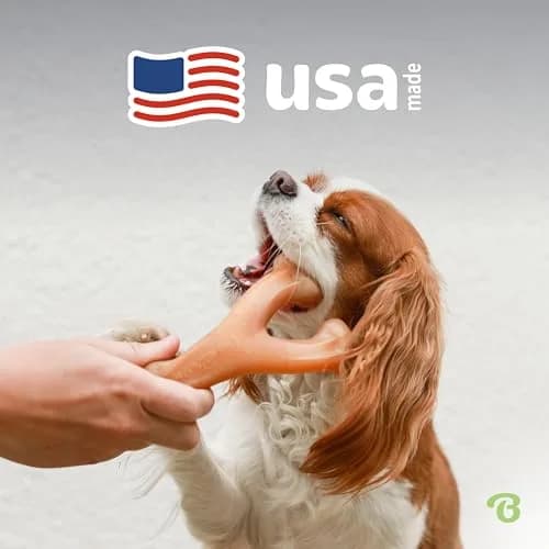 Benebone Wishbone Dog Chew Toy Giant Real Bacon Flavor | Durable Nylon Chew for Aggressive Chewers thumbnail 5