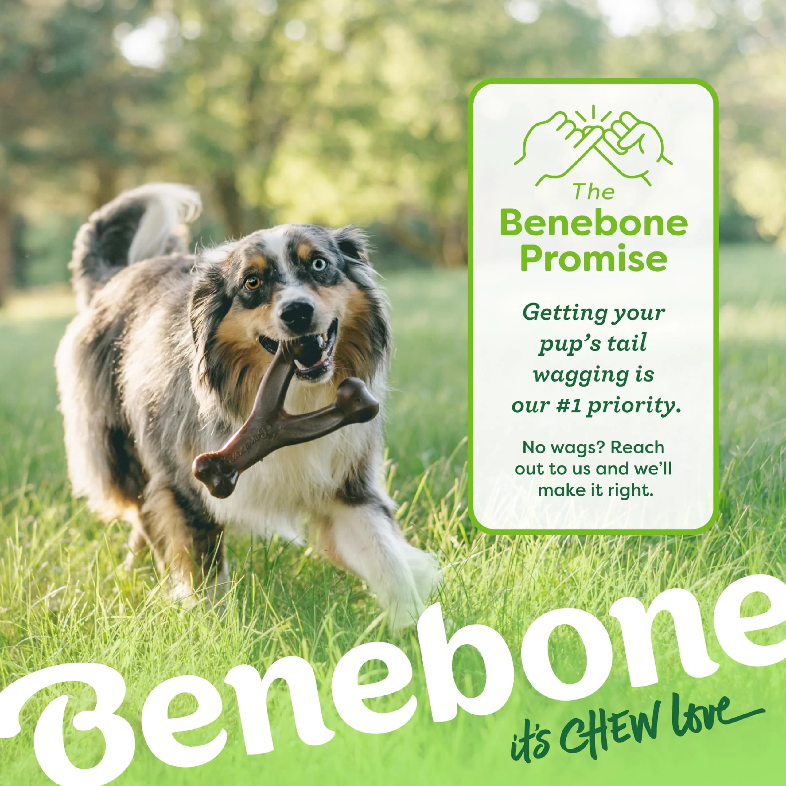Benebone Wishbone Dog Chew Toy Giant Real Bacon Flavor | Durable Nylon Chew for Aggressive Chewers - view 6