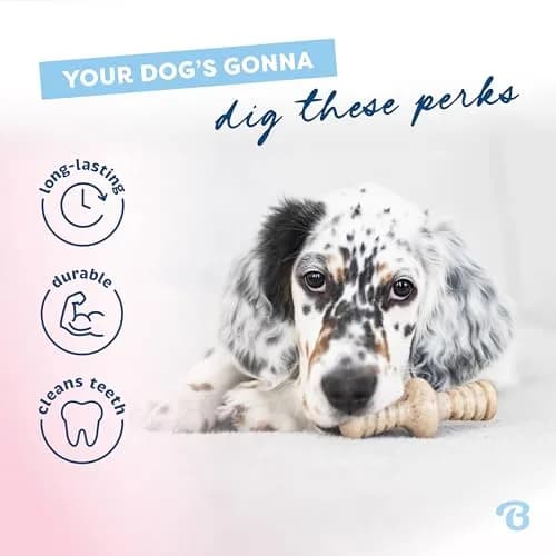 Benebone Puppy 2-Pack Maplestick/Zaggler Dog Chew Toys, Tiny | Durable Nylon Chew for Teething Pups thumbnail 3